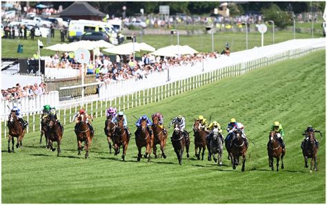 epsom results|Epsom Downs Horse Racing Results .